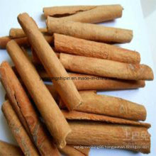 Pressed in 25kg Carton Cassia Cinnamon